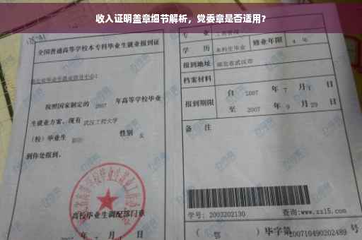 收入证明盖章细节解析，党委章是否适用？