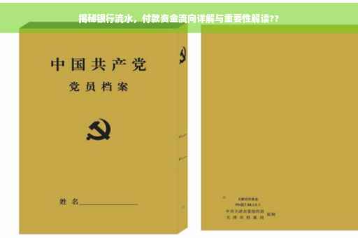 揭秘银行流水，付款资金流向详解与重要性解读??