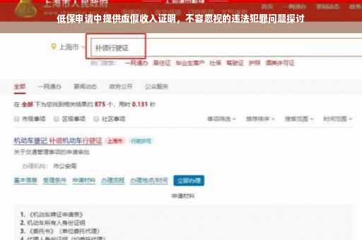 低保申请中提供虚假收入证明，不容忽视的违法犯罪问题探讨