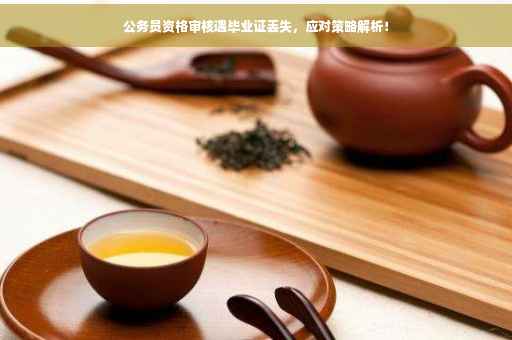 公务员资格审核遇毕业证丢失，应对策略解析！