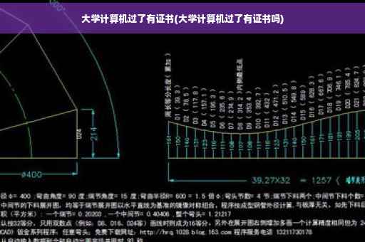 大学计算机过了有证书(大学计算机过了有证书吗)