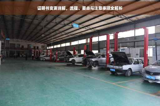 证明书变更详解，流程、要点与注意事项全解析