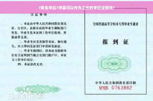 ?男生学历?学籍可以作为工作的学历证明吗?