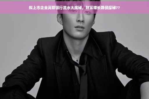 拟上市企业高管银行流水大揭秘，财富增长路径探秘??
