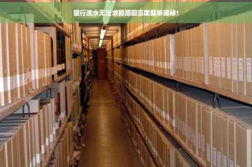 银行流水无法求和原因深度解析揭秘！