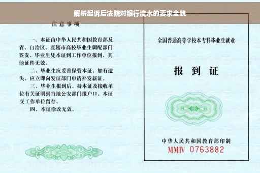 解析起诉后法院对银行流水的要求全貌