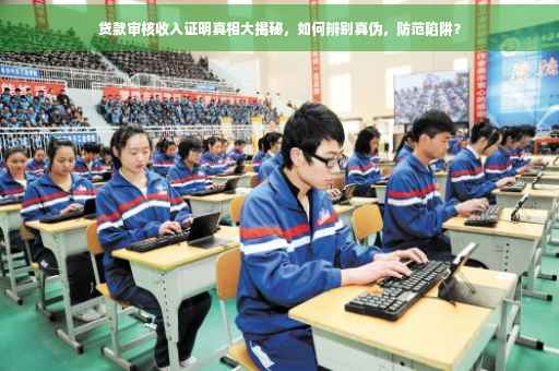贷款审核收入证明真相大揭秘，如何辨别真伪，防范陷阱？
