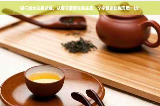 银行流水交易详解，从细节洞察交易实质，丫字解读助你洞悉一切！
