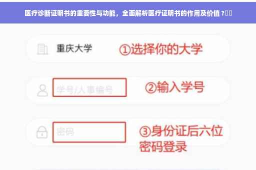 医疗诊断证明书的重要性与功能，全面解析医疗证明书的作用及价值 ?⚡️