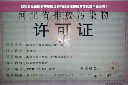 解读离婚证明书与生效证明书的法律逻辑与实际应用重要性?