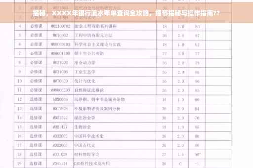 揭秘，XXXX年银行流水账单查询全攻略，细节揭秘与操作指南??