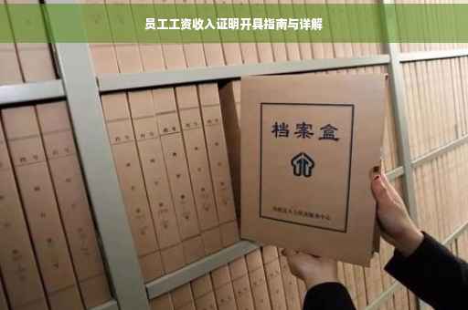 员工工资收入证明开具指南与详解