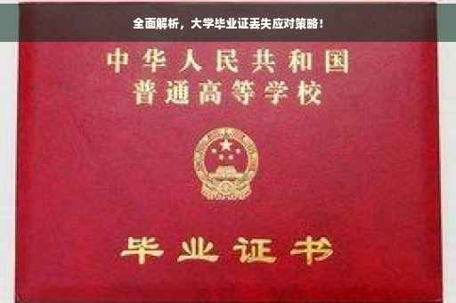 全面解析，大学毕业证丢失应对策略！