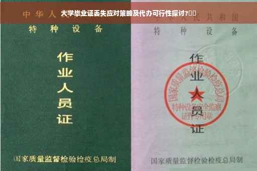 大学毕业证丢失应对策略及代办可行性探讨?⚡️