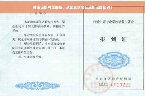 关系证明书全解析，从定义到实际应用深度探讨！