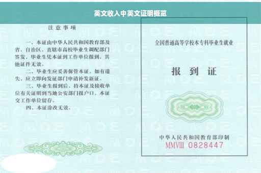 英文收入中英文证明概览