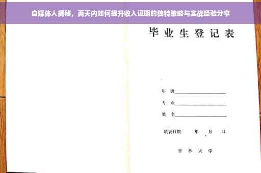 自媒体人揭秘，两天内如何提升收入证明的独特策略与实战经验分享