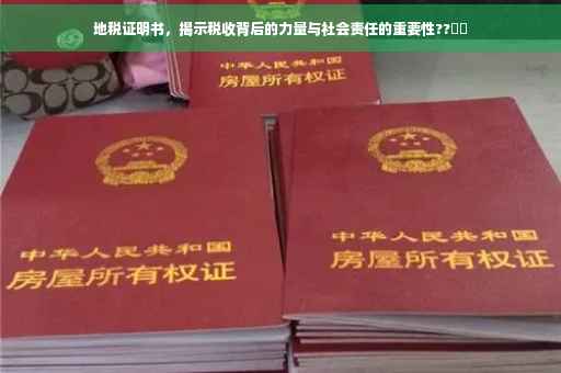 地税证明书，揭示税收背后的力量与社会责任的重要性??​​