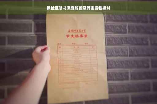 尿检证明书深度解读及其重要性探讨