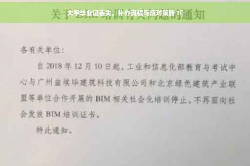 大学毕业证丢失，补办流程与应对策略 ?✨