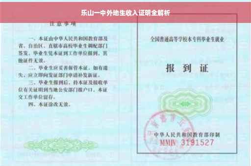 乐山一中外地生收入证明全解析