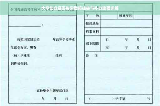 大学毕业证丢失需登报挂失与补办流程详解
