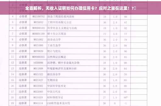 全面解析，无收入证明如何办理信用卡？应对之策在这里！?✨
