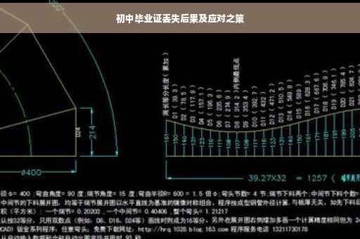 初中毕业证丢失后果及应对之策
