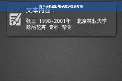 绍兴手机银行电子流水拉取指南