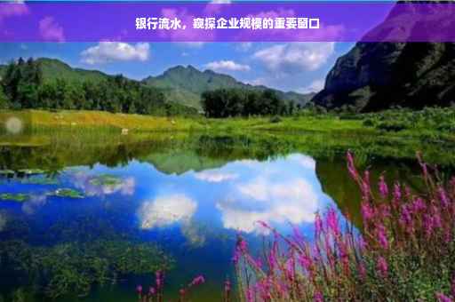 银行流水，窥探企业规模的重要窗口