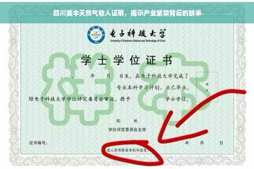 四川美丰天然气收入证明，揭示产业繁荣背后的故事