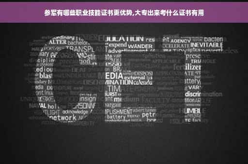 参军有哪些职业技能证书更优势,大专出来考什么证书有用