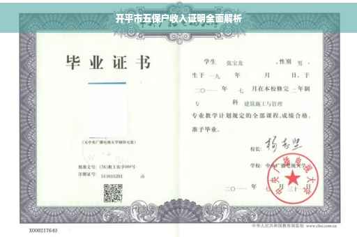 开平市五保户收入证明全面解析