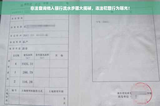 非法查询他人银行流水步骤大揭秘，违法犯罪行为曝光！
