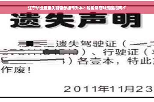 辽宁毕业证丢失能否参加专升本？解析及应对策略指南?✨