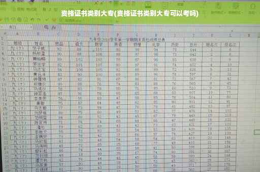 资格证书类别大专(资格证书类别大专可以考吗) 资格证书类别大专(资格证书类别大专可以考吗)