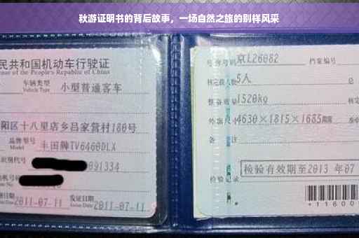 秋游证明书的背后故事，一场自然之旅的别样风采