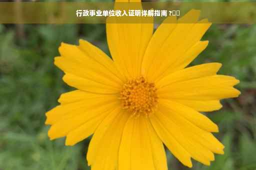 行政事业单位收入证明详解指南 ?⚡️