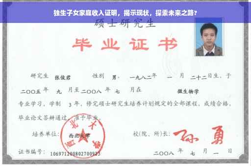 独生子女家庭收入证明，揭示现状，探索未来之路?