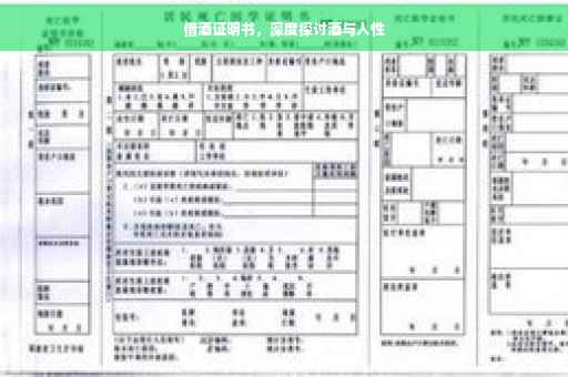 借酒证明书，深度探讨酒与人性