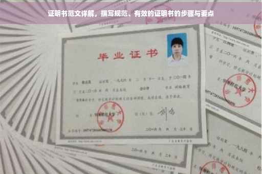 证明书范文详解，撰写规范、有效的证明书的步骤与要点