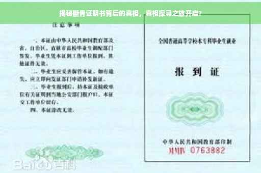 揭秘断骨证明书背后的真相，真相探寻之旅开启?