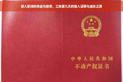 初入职场的挑战与收获，工地第九天的收入证明与成长之路
