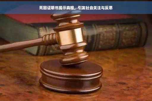 死因证明书揭示真相，引发社会关注与反思