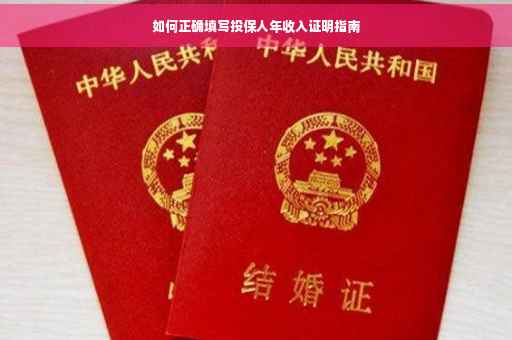 如何正确填写投保人年收入证明指南