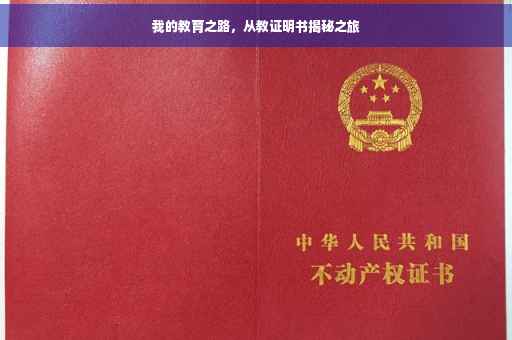 我的教育之路，从教证明书揭秘之旅