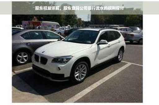 股东权益详解，股东查阅公司银行流水的权利探讨