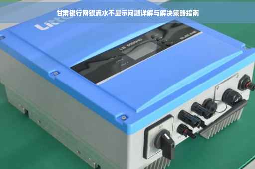 甘肃银行网银流水不显示问题详解与解决策略指南