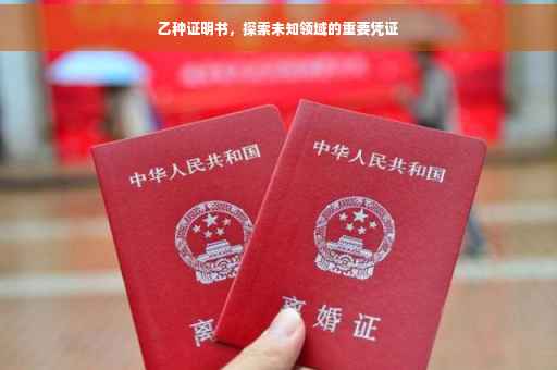 乙种证明书，探索未知领域的重要凭证