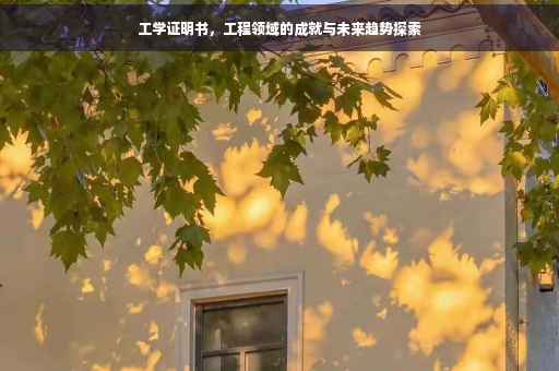 工学证明书，工程领域的成就与未来趋势探索